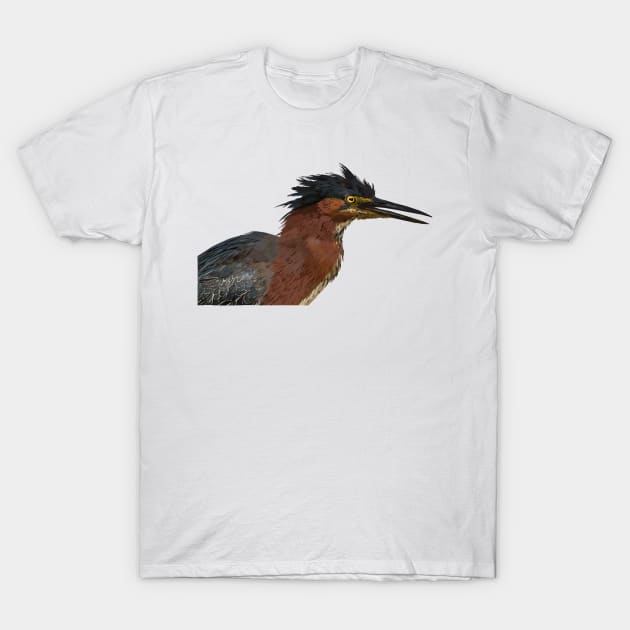 Green Heron T-Shirt by obscurite